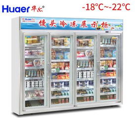 華爾冷柜工廠熱銷產品解析 多樣化冷凍展示解決方案